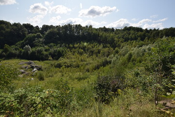 Liether Kalkgrube - Schleswig-Holstein - Deutschland - Gr&uuml;ne Sommerlandschaft
