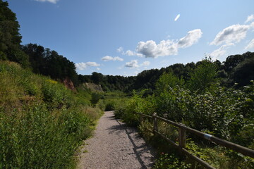 Liether Kalkgrube - Schleswig-Holstein - Deutschland - Gr&uuml;ne Sommerlandschaft