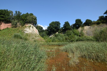 Liether Kalkgrube - Schleswig-Holstein - Deutschland - Gr&uuml;ne Sommerlandschaft