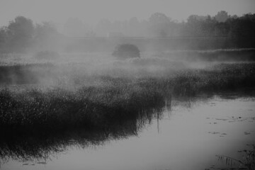 sun rises in cold october morning. Fog over the fields and river in Latvia. Reeds and distant shore reflect in smooth water surface. Calm morning without wind. 