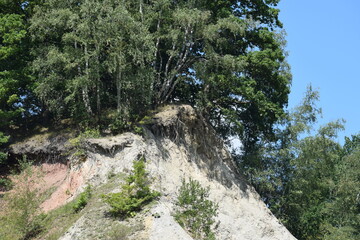Liether Kalkgrube - Schleswig-Holstein - Deutschland - Abhang