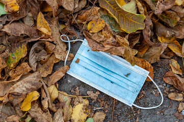 Discarded face mask seen lying as garbage on ground in autumn leaves.