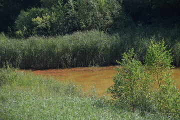 Liether Kalkgrube - Schleswig-Holstein - Deutschland - Gr&uuml;ne Sommerlandschaft