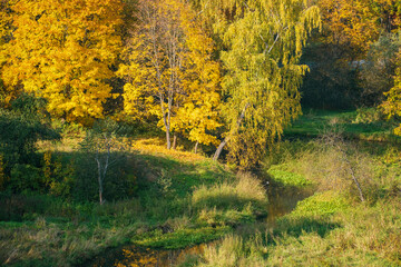 yellow and green trees by the river in autumn