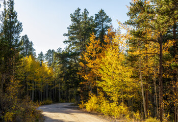 Scenery Autumn landscape in the Rocky Mountains of Colorado - Kenosha Pass