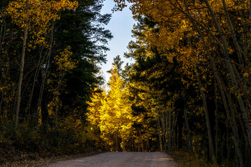 Scenery Autumn landscape in the Rocky Mountains of Colorado - Kenosha Pass