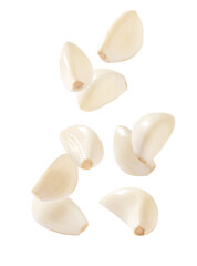 peeled cloves garlic isolated on white background.