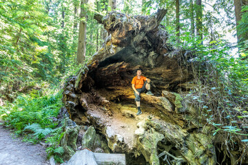 A man sitiing in a majestic root of an old and dead Redwood tree in the Redwood National Park, California