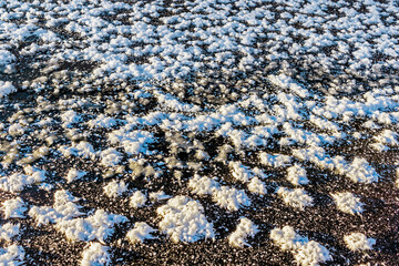 close-up of frosty flowers on black ice surface