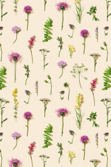 Minimal natural floral background with summer wild flower and grass. Botanical pattern