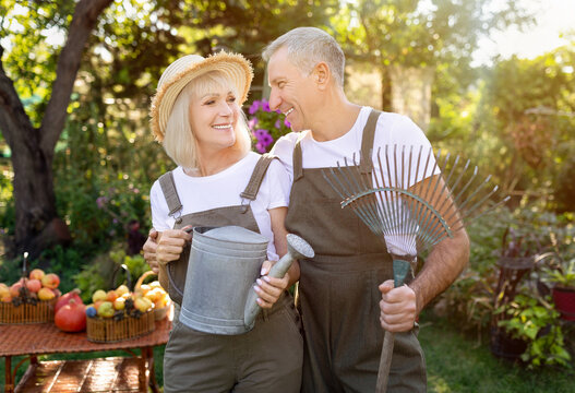 Active senior couple holding gardening tools, working together in their garden at sunny day - Powered by Adobe