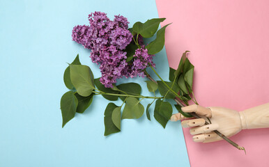 Wooden hand holding Branch of blooming purple lilacs on blue-pink pastel background. Spring background. Minimalism