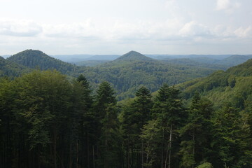 Scenic view over Palatinate Forest and the Vosges from the ruin of medieval fortress Lützelhardt,...