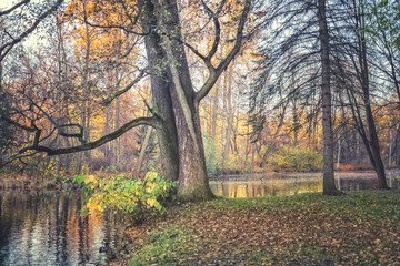 Lake surrounded by trees in an autumn park