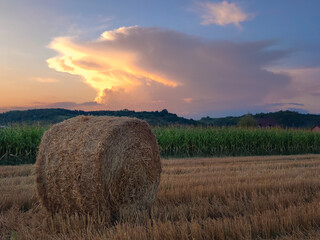 Scenic evening view of agricultural landscape and isolated thunderstorm in the distance.
