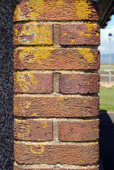 Close Up of Old Lichen Covered Brick Wall