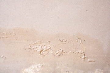 Brown wall damp damaged with peeling paint