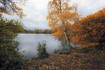 Autumn landscape with yellowed birch leaves by the lake