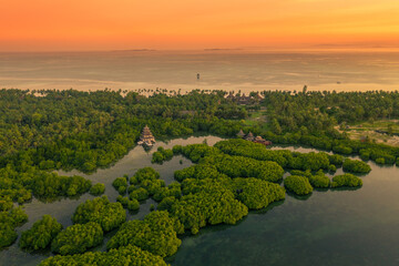 Flooded amazonian rainforest in Negro River at sunset time, Amazonas, Brazil.