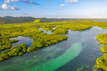 Anavilhanas archipelago, flooded amazonia forest in Negro River, Amazonas, Brazil. Aerial drone view.