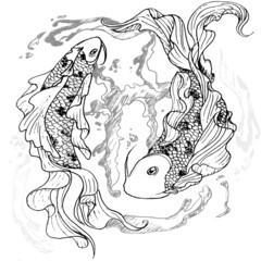 Illustration of the koi carps on the white background. The idea for the print on the t-shirt.