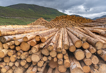 A huge Sawmill (saw or lumer mill) in the village og Kaupanger on the northern shore of the Sognefjord, Sogndal, Vestland, Norway.