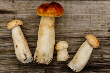 Freshly picked porcini mushrooms on rustic wooden table. Top view