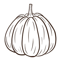 Pumpkin Sketch. Autumn Food Icon. Ripe squash sketch. Element for autumn decorative design, halloween invitation, harvest, sticker, print, logo, menu, recipe