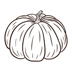 Line Art Fairytale Squash Illustration. Autumn gourd Icon. Ripe pumpkin sketch. Cartoon Style. Element for autumn decorative design, halloween invitation, harvest, sticker, print, logo, menu, recipe