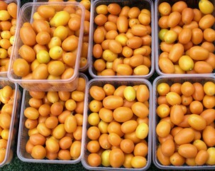 Orangefarbene Cocktailtomaten 