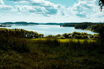 Photo of amazing and beautiful nature with green grass
