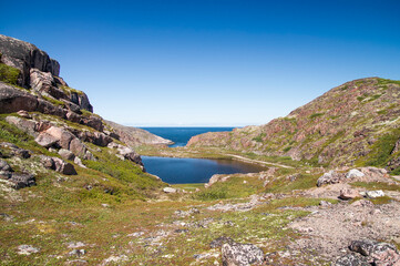 Mountain lake in the North. Moss-covered hills, and stunted vegetation.