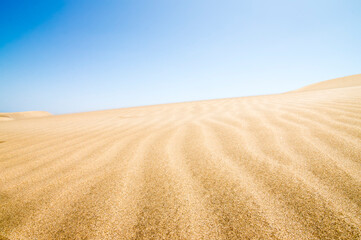 Fototapeta na wymiar Sand dunes stretching into the distance.