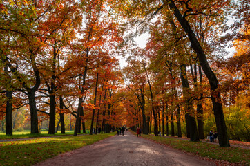 Alexander park in autumn, Pushkin (Tsarskoe Selo), St. Petersburg, Russia
