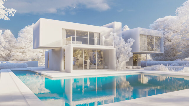 Big contemporary villa with pool and frozen garden