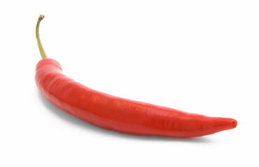 Red hot chilli pepper