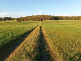 Fototapeta premium Feldweg
