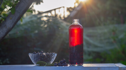 Compote or mors made from black currant berries in a bottle on the table in the garden © Olga