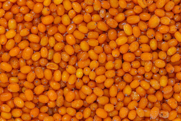 Sea buckthorn. Frozen berry. Culinary Background of ripe berries. A source of vitamins. The basis...