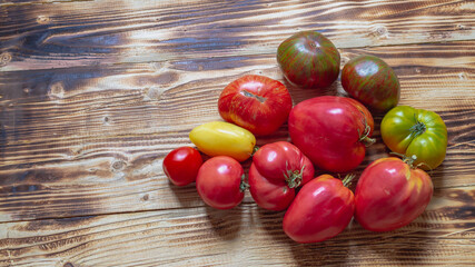 Different types of tomatoes. Black, orange, yellow, red tomato fruits on a wooden table