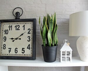 Clock, plant, lantern and lamp on a ledge