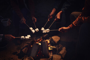 People roasting delicious marshmallows over bonfire outdoors at night, closeup. Camping season
