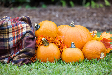 An outdoor set up of a crate with a fall autumn plaid brown blanket and lots of bright orange pumpkins and flowers for fall decor or pictures