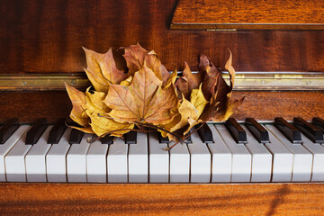 Beautiful large autumn maple leaves of different colors on piano keys, autumn concept, classical...