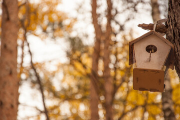 Feeders for birds in the city park