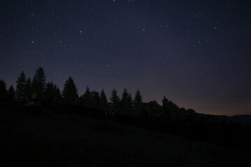 Picturesque view of dark forest and beautiful starry sky at night
