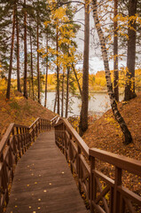 Old wooden bridge with stairs in forest. Staircase in the wood. Footbridge in park. Adventure and explore concept.