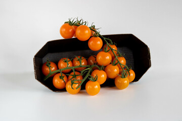 Ripe fresh orange cherry tomatoes on a branch, in a black eco container isolated on a white background. Place for text