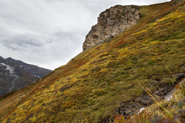 Herbstwiese in den Bergen.