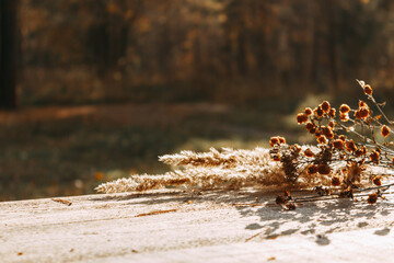 Dried flowers are lying on the table against the background of an autumn forest. Selective focus. The concept of a warm autumn